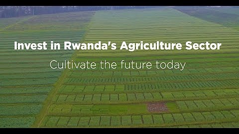 Invest in Rwanda