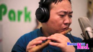 Superhit Nagendra Rai Flute Song Choli Ramro Instrumental HD