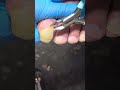 Satisfying Pedicure Video! #pedicure #toenails