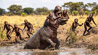 The Human Species That Shouldn't Exist