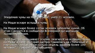Эпидемия чумы на Мадагаскаре: умер 21 человек Эпидемия чумы на Мадагаскаре: умер 21 человек