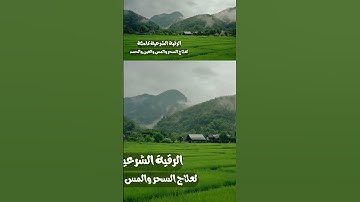 #القرآن_الكريم #رقية_شرعية #شفاء #تلاوة_هادئة #اكسبلور #المصحف #islamicprayer
