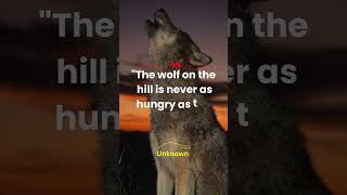Wolf Mindset #motivation #viral #successquotess✨✔️