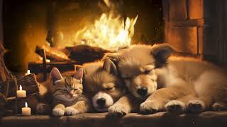 3 HOURS of Dog Calming Music For Dog & Cat! Anti Separation Anxiety Relief Music for Dog & Cat, Fire