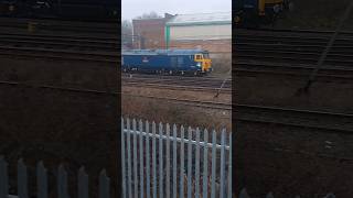 Class 50 at Northampton