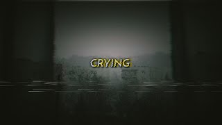 Jack Stauber - Crying [opal] (sub español/lyrics)