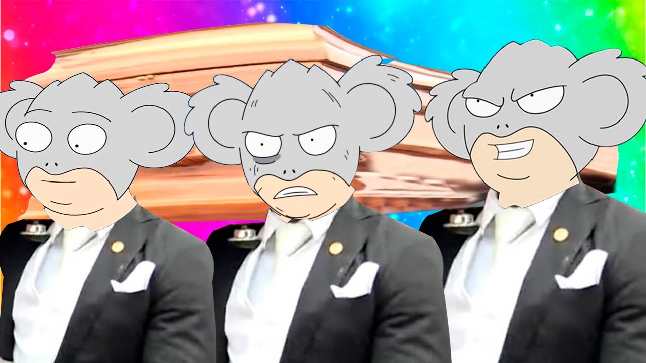 Koala Man - Coffin Dance COVER