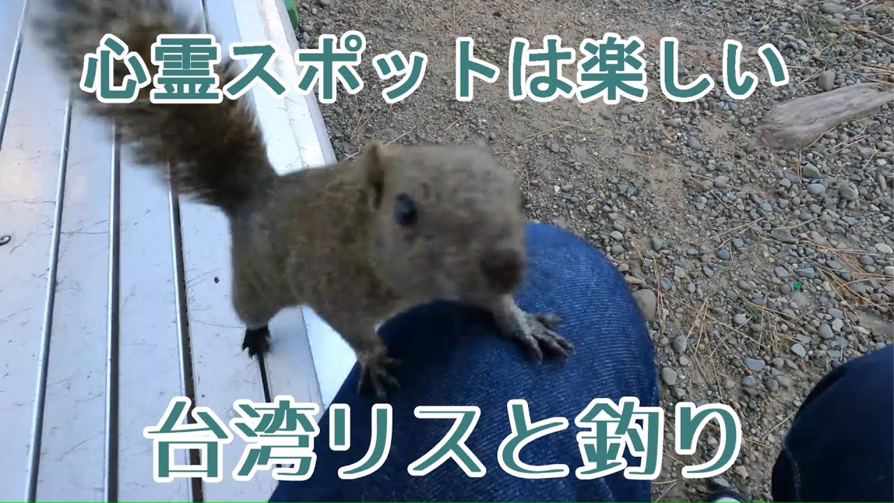 心霊スポットの和歌山友ヶ島でキャンプ飯用の魚を釣る『友ヶ島心霊キャンプ』