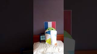 Famous Fun with flags episode 4 (the French flag) featuring dj rowan Net Worth