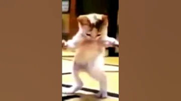 مكه حبيبة بابا مكه قلب البابا 