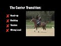 The Canter Transition: How to Fix a Horse that Rushes, Puts their Head up and Gets Tense!