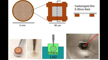 Cryo-Sample-Freezing-Vitrobot
