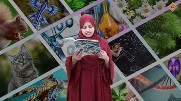 Gohar Science 4|Unit 8|Lec 3|How to Measure Weather