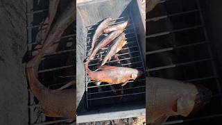 хариус копчёный горячий #рыбалка