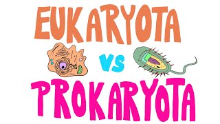 EUKARYOTICKÁ vs PROKARYOTICKÁ buňka: Která má v čem navrch?