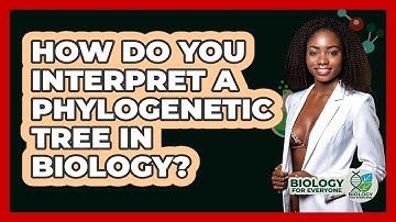 How Do You Interpret A Phylogenetic Tree In Biology? - Biology For Everyone