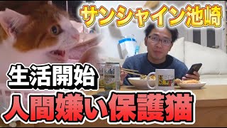 【保護猫活動】池崎！人間嫌いの保護猫と生活開始【サンシャイン池崎】