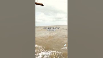 🥰 có ai 🍓 xuôi tàu 🥰 cho tôi nhắn gửi 💞...???814