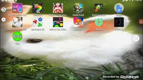 playing blob.io/my first video