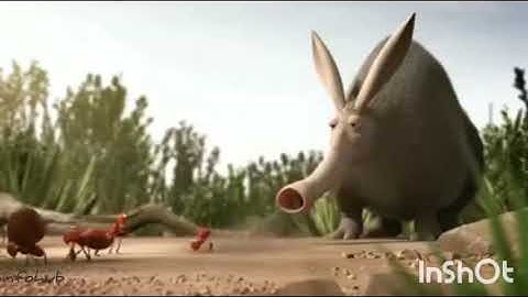 Ant motivational video |