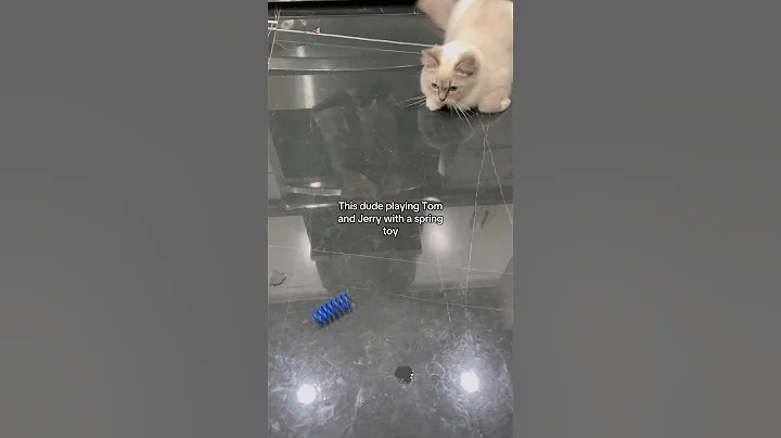 Video 11551611: cat cartoon kitten, cat cartoon funny kitten, cat tom cartoon