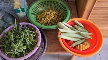 Bữa cơm cá rô kho tiêu và canh chua bông điên điển | BẢO NGỌC TV