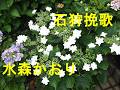 石狩挽歌/水森かおり Cover♪あいさい・・♪