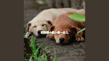 Pulsating Moods for Visual Adventures