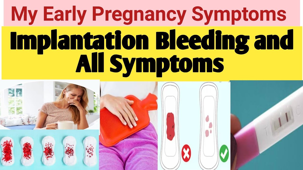 My Early Pregnancy Symptoms 🤮🤧🤒 And Implantation Bleeding ...