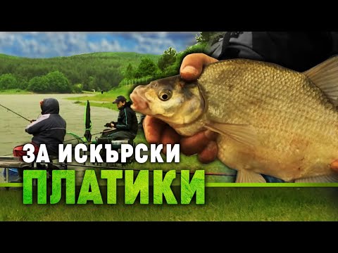 Видео: Риболов на зимна платика: знайте и умейте! част 2