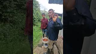 Recogiendo unas pepitas