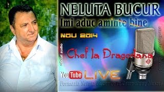 NELUTA BUCUR . Imi aduc aminte bine (live audio)