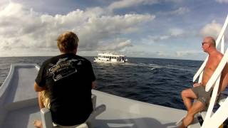 Kuredu, Maldives 2016