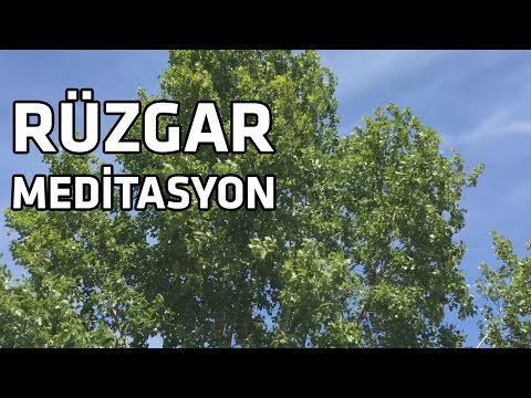 Rüzgar Sesi Meditasyon I Rahatlatıcı Müzik