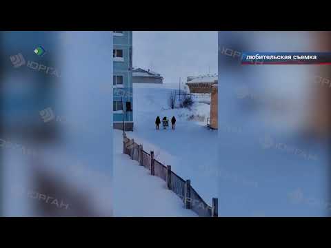 Забавную картину снял на смартфон житель заполярного посёлка Воргашор