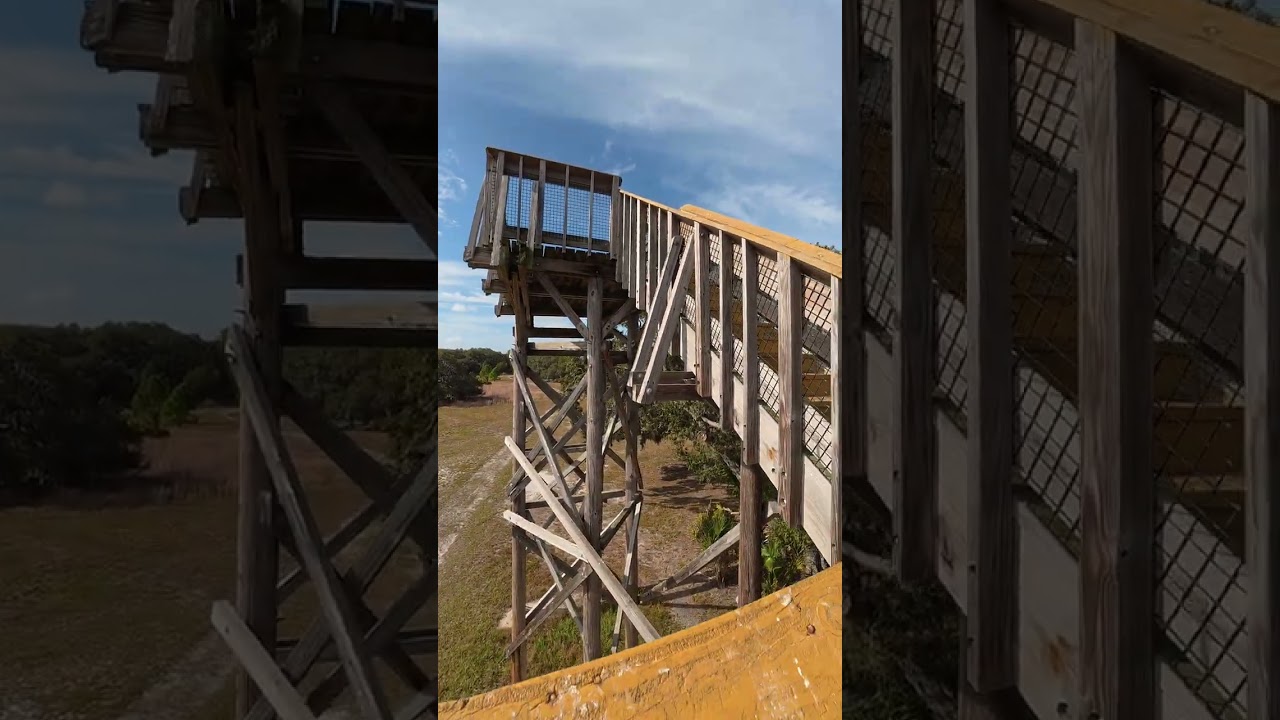 Check out this view of the climb up Lake Kissimmee State Park Observation Tower