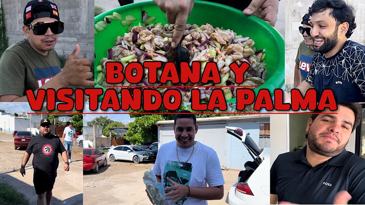 VISITAMOS A LA CLICA DE LA PALMA Y LES PREPARAMOS ESTÁ BOTANA CON EL GORDITO Y EL HURTADO(LOS TOYS)