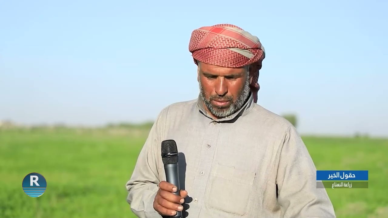 حقول الخير -8 – 6 – 2024