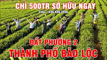 Mua đất Bảo Lộc, Lâm Đồng giá rẽ. Chỉ 520tr sở hữu đất Phường 2, Bảo Lộc.