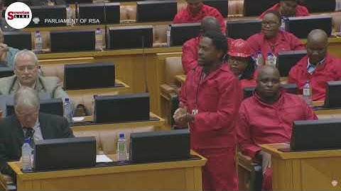 Dr. Mbuyiseni Ndlozi resigns as EFF MP