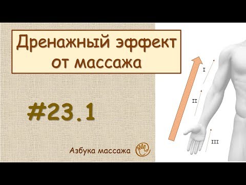 Теоретические основы дренажных методик массажа | Урок 23, часть 1 | Видеоуроки по массажу