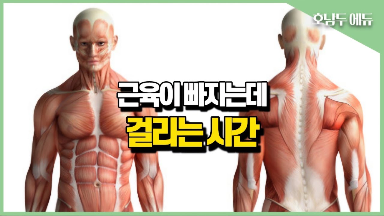 모르면 평생 손해보는 근육 빠지는 시간