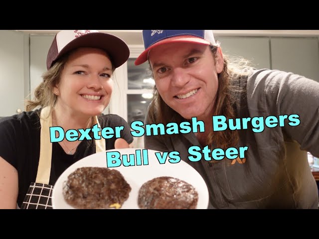 Smash Burgers: Dexter Bull vs Steer Burger! class=