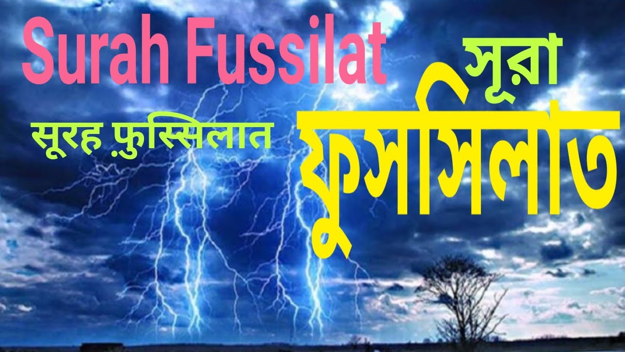 সূরা ফুসসিলাত  سورة فصلت  Surah Fussilat  सूरह फ़ुस्सिलात  #automobile #duet #quran 