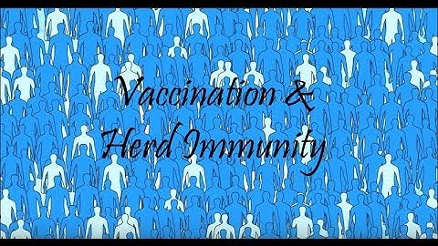 Vaccines and herd immunity