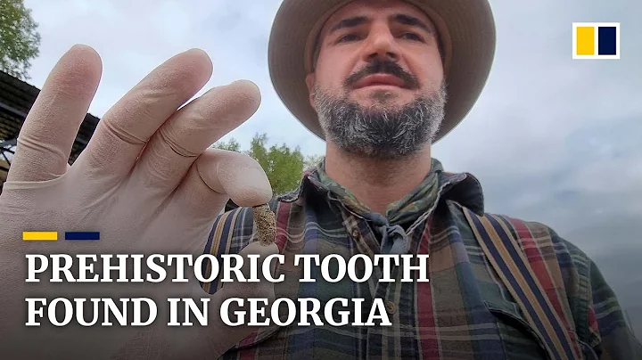 Archaeologists in Georgia discover human tooth from 1.8 million years ago - DayDayNews