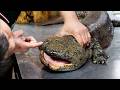 Chinese Street Food - GIANT SALAMANDER Cooked 8 Ways Xiamen Seafood China