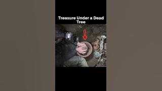 π Unbelievable Treasure Discovered Beneath an Old Tree! #treasurehunt #metaldetecting