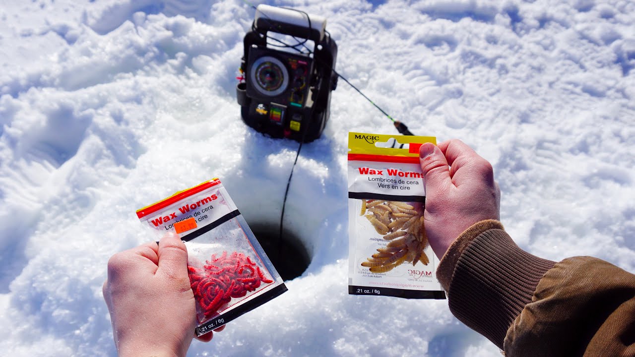 Do FAKE Wax Worms Work? (Ice Fishing Challenge) 