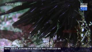 [LIVE] KBS 뉴스7 라이브ㅣ2023년 7월 24일 (월) KBS청주 7시 뉴스